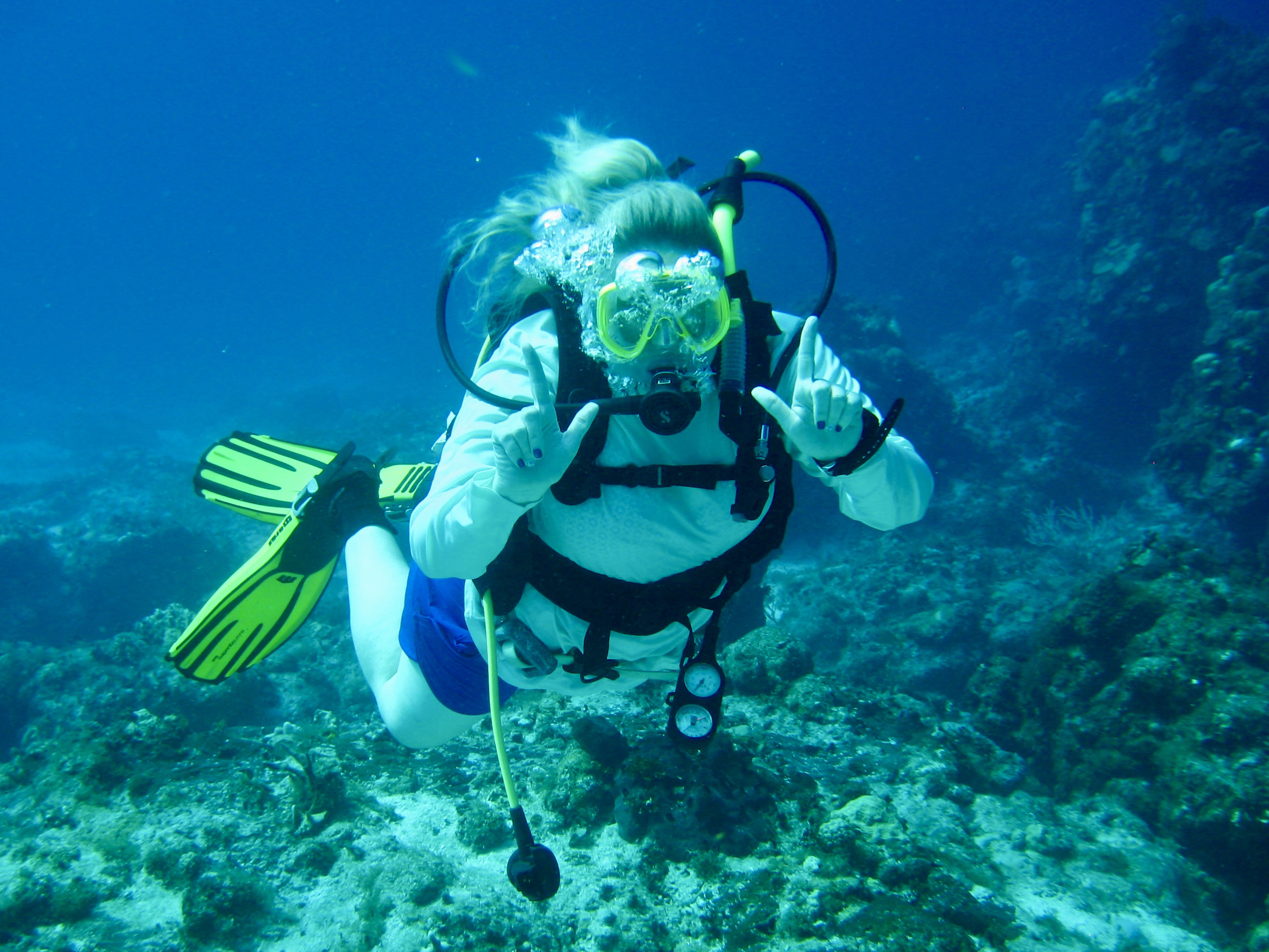 Cozumel has some of the best diving in the world